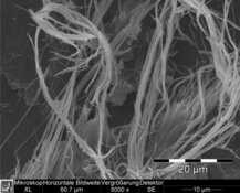 Chrysotil Asbest in Fliesenkleber - mittlere HD-Auflösung: 3232 x 2420 px / Dateigröße ca 7,5 MB | © CRB Analyse Service GmbH