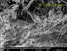 REM-Bild Chrysotil-Asbest in kinetischem Sand | © CRB Analyse Service GmbH