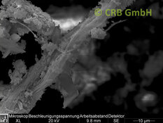 REM-Bild Chrysotil-Asbest  in Fensterkitt | © CRB Analyse Service GmbH
