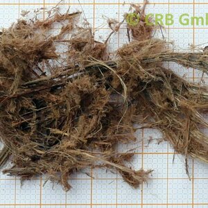 amosita de absorción macroscópica | © CRB Analysis Service GmbH