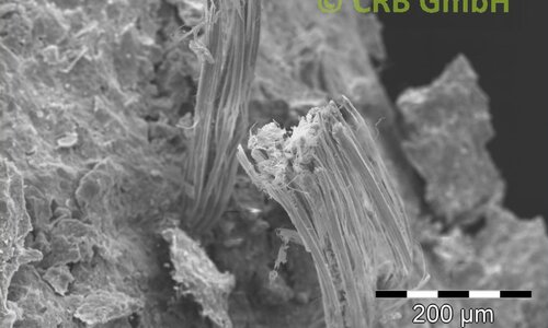 REM-Bild Chrysotil-Asbest  in Brandschutzmörtel | © CRB Analyse Service GmbH