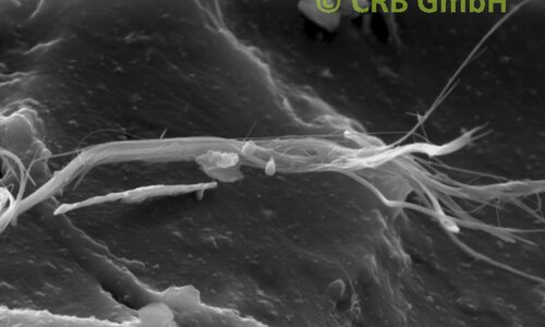 SEM-afbeelding chrysotiel asbest in zwarte lijm | © CRB Analyse Service GmbH