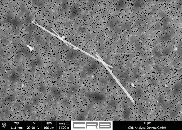 Asbestos fibres on a filter